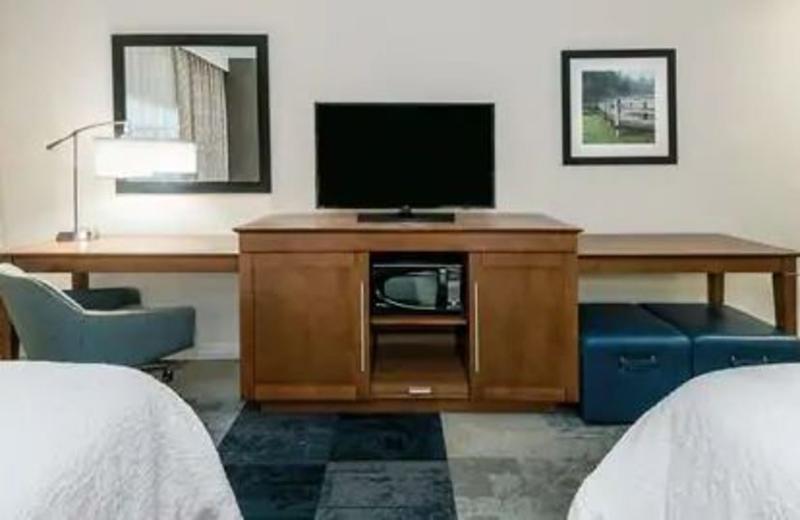 Hampton Inn & Suites San Antonio Brooks City Base, Tx Luaran gambar